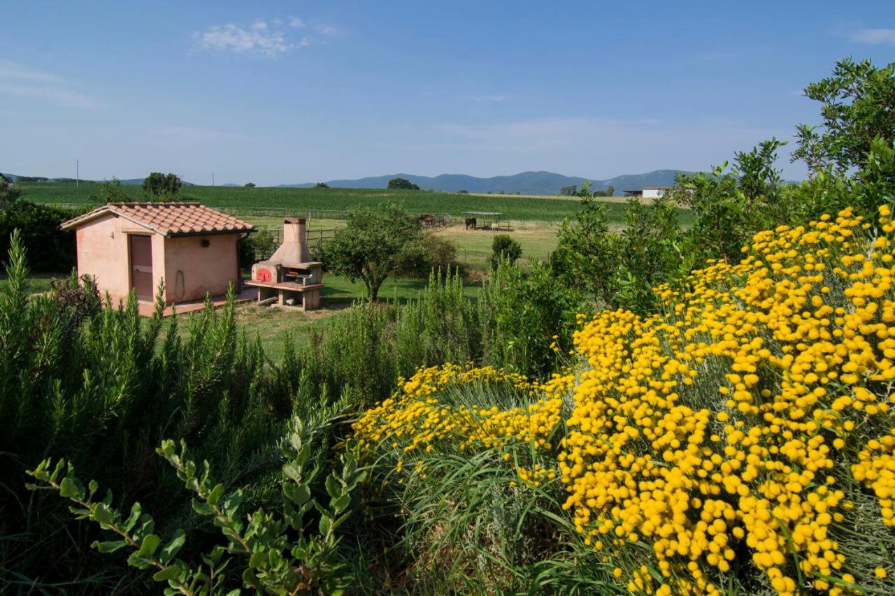 Agriturismo Il Melograno Di Banditella Alberese Exterior photo